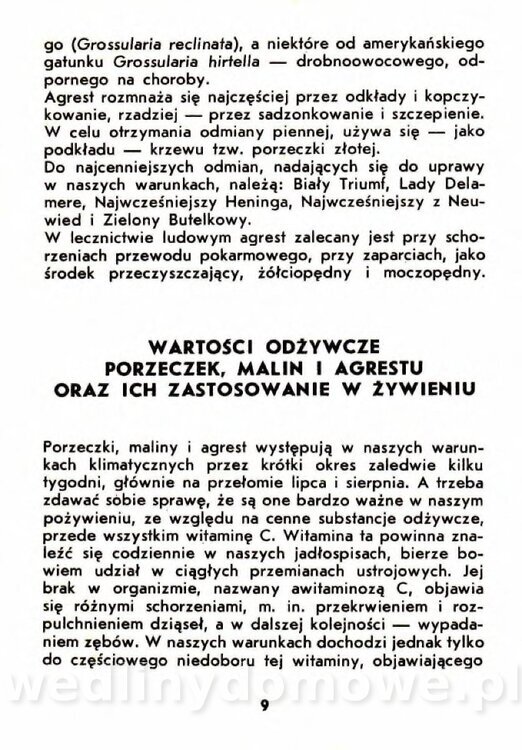 Szczepańska A. - Porzeczki, Maliny, Agrest_006.jpg