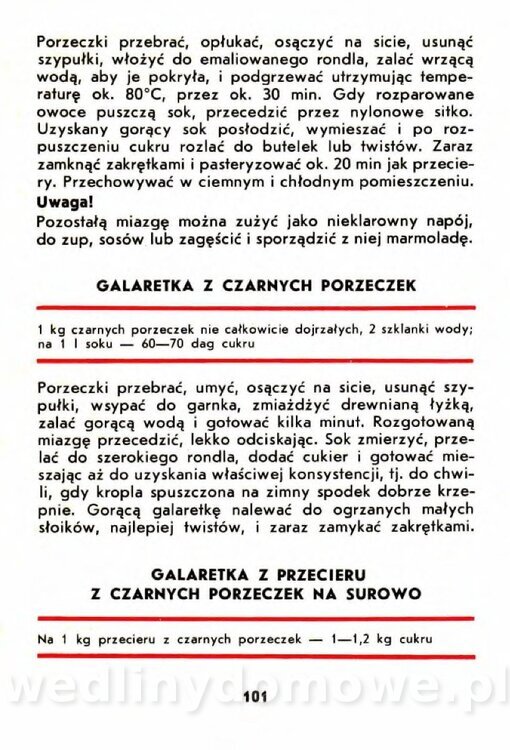 Szczepańska A. - Porzeczki, Maliny, Agrest_098.jpg
