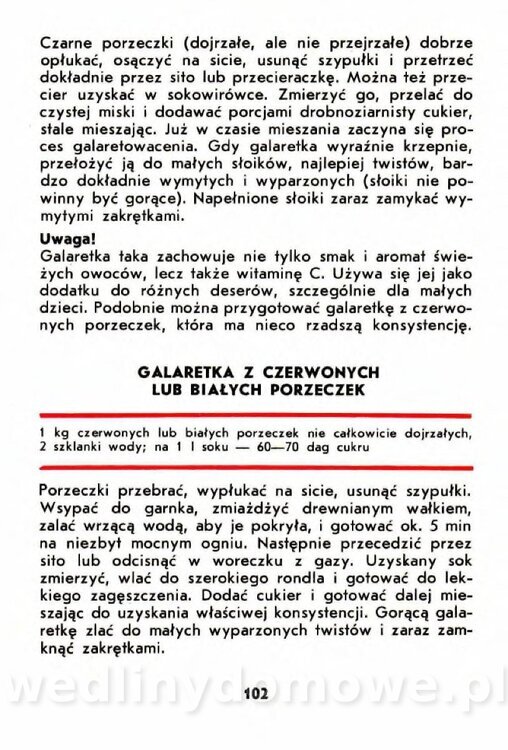 Szczepańska A. - Porzeczki, Maliny, Agrest_099.jpg