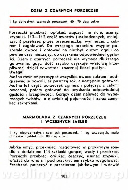 Szczepańska A. - Porzeczki, Maliny, Agrest_100.jpg