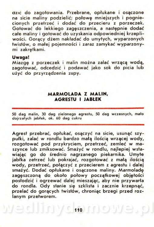 Szczepańska A. - Porzeczki, Maliny, Agrest_107.jpg