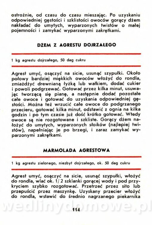 Szczepańska A. - Porzeczki, Maliny, Agrest_111.jpg