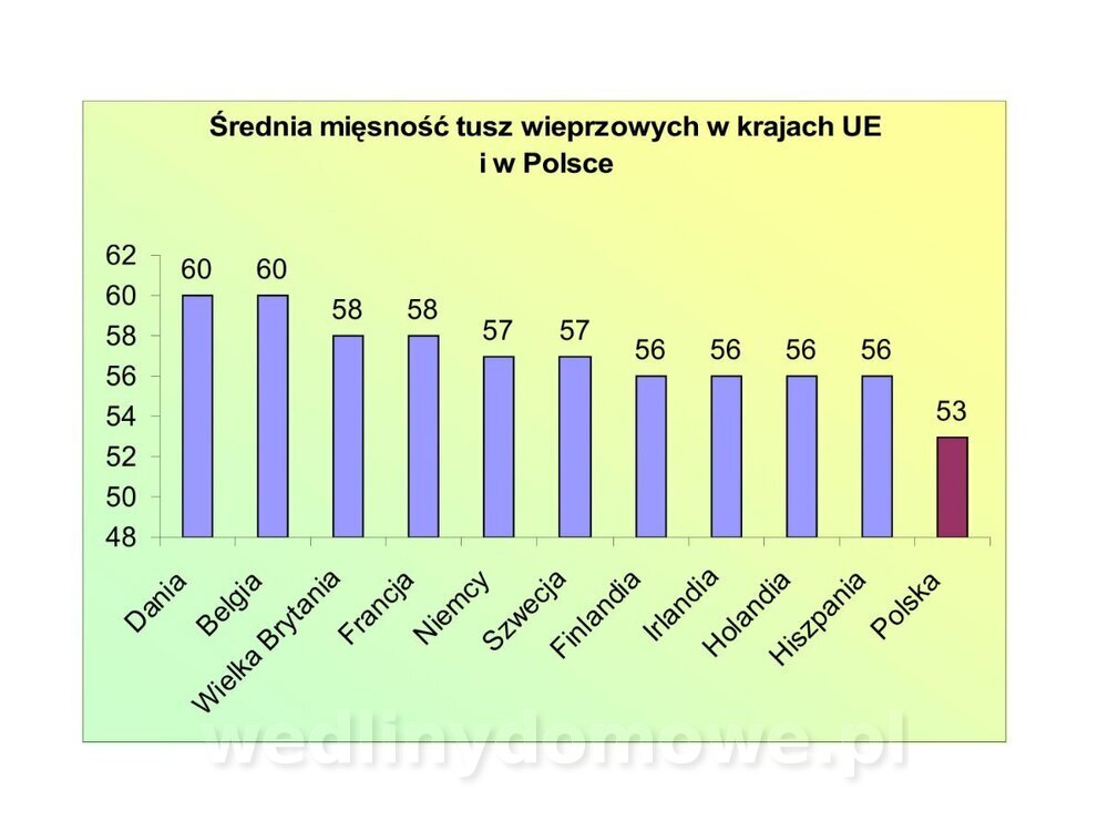 Technologia produkcji miesa wieprzowego_05.jpg