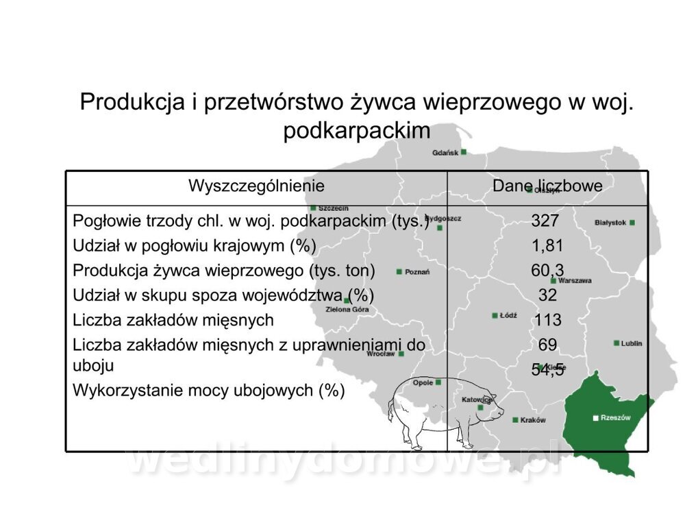 Technologia produkcji miesa wieprzowego_07.jpg
