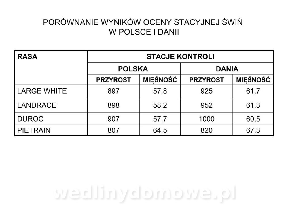 Technologia produkcji miesa wieprzowego_08.jpg