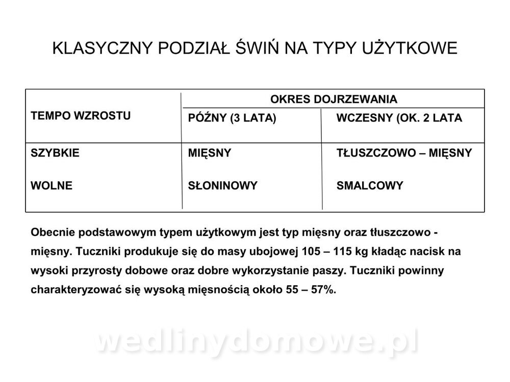 Technologia produkcji miesa wieprzowego_09.jpg