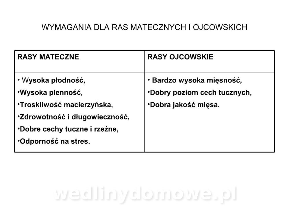 Technologia produkcji miesa wieprzowego_11.jpg