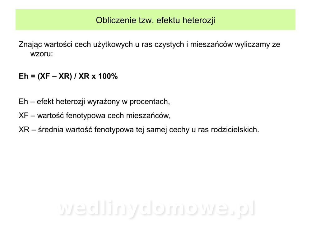 Technologia produkcji miesa wieprzowego_18.jpg