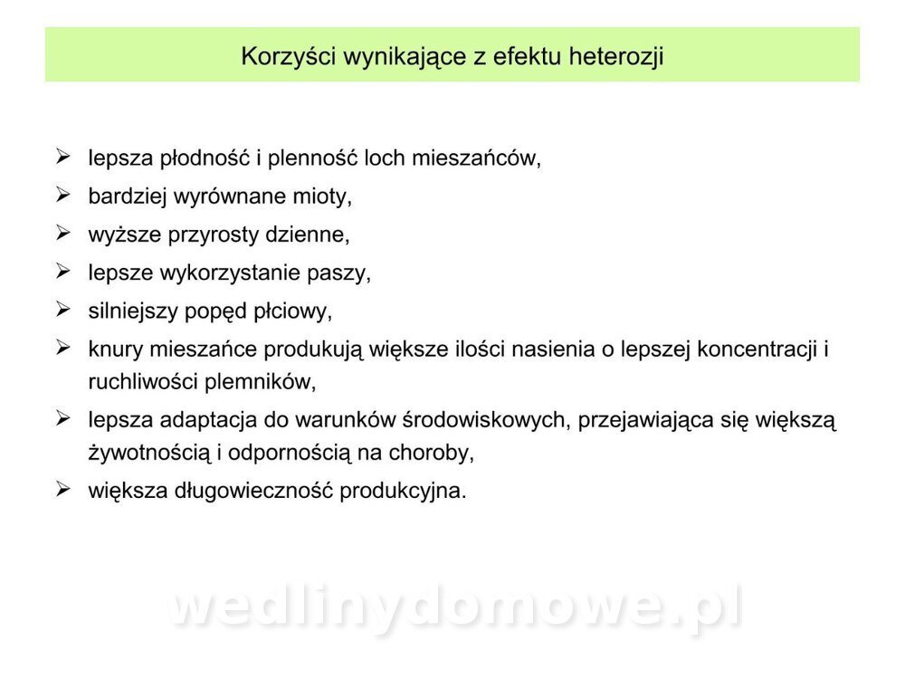 Technologia produkcji miesa wieprzowego_19.jpg