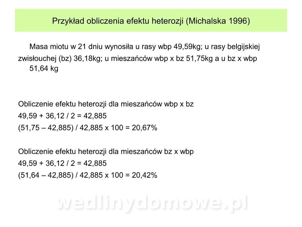 Technologia produkcji miesa wieprzowego_21.jpg