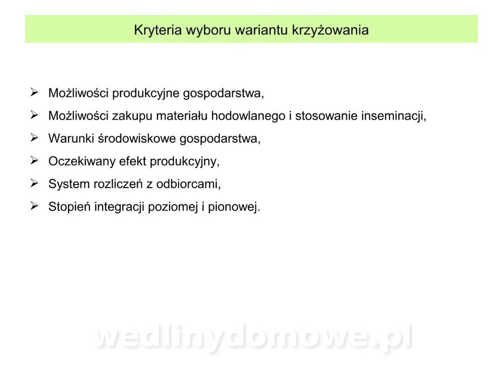 Technologia produkcji miesa wieprzowego_25.jpg
