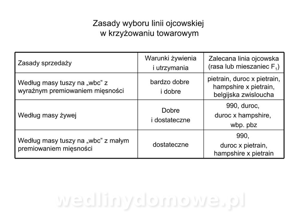 Technologia produkcji miesa wieprzowego_26.jpg