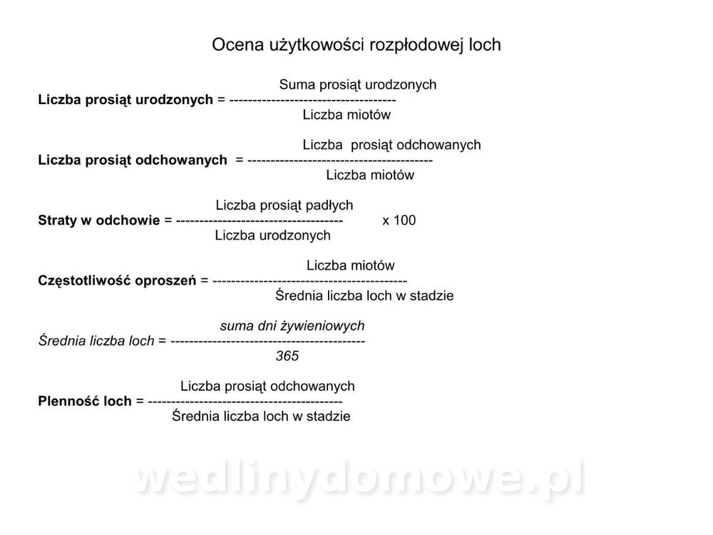 Technologia produkcji miesa wieprzowego_29.jpg