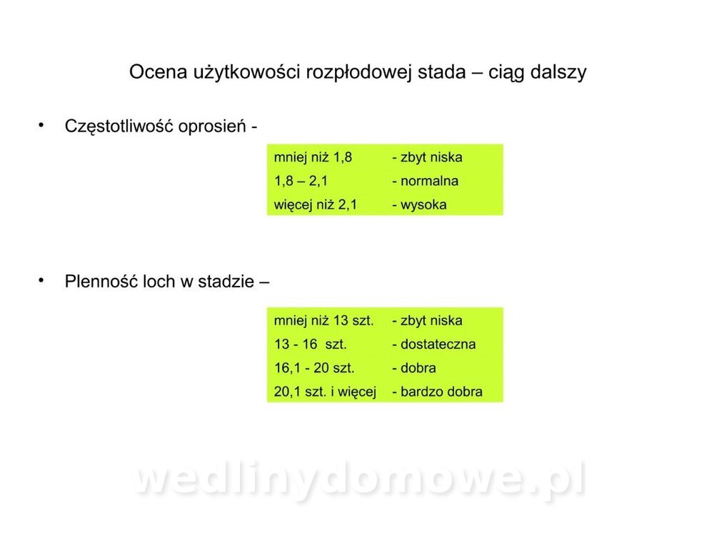 Technologia produkcji miesa wieprzowego_31.jpg
