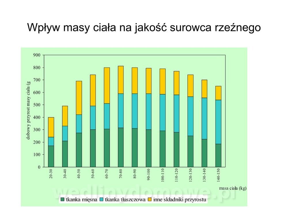 Technologia produkcji miesa wieprzowego_33.jpg