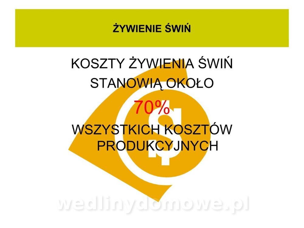 Technologia produkcji miesa wieprzowego_35.jpg