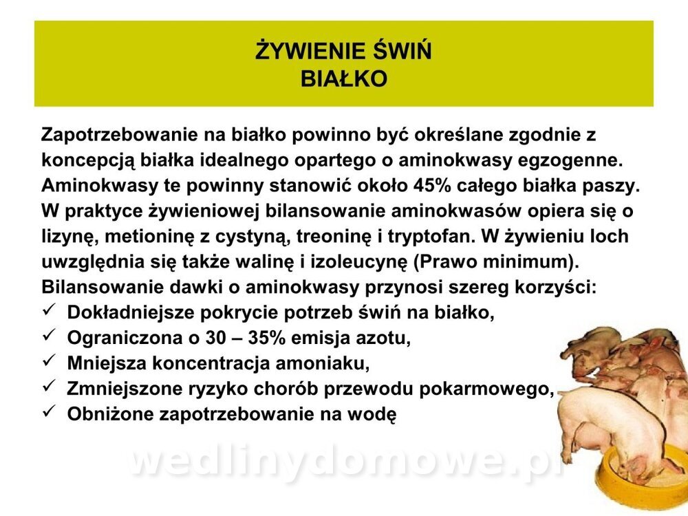 Technologia produkcji miesa wieprzowego_38.jpg
