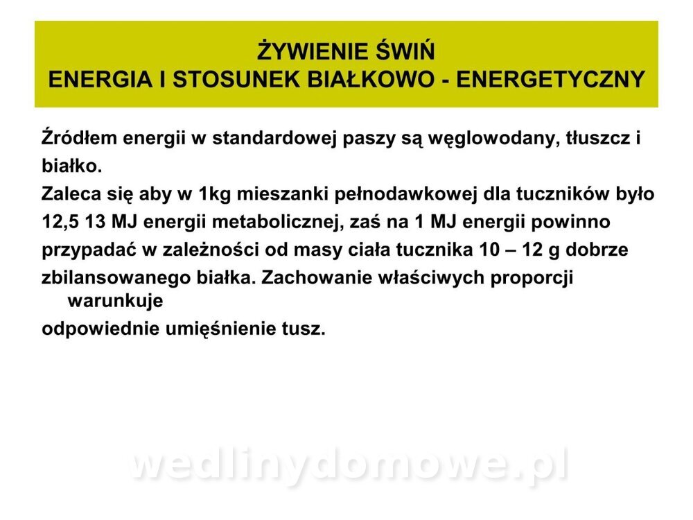 Technologia produkcji miesa wieprzowego_39.jpg