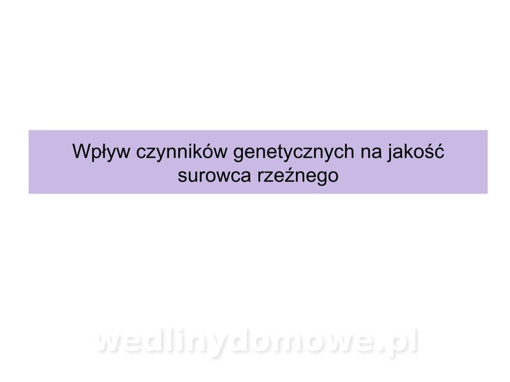 Technologia produkcji miesa wieprzowego_42.jpg