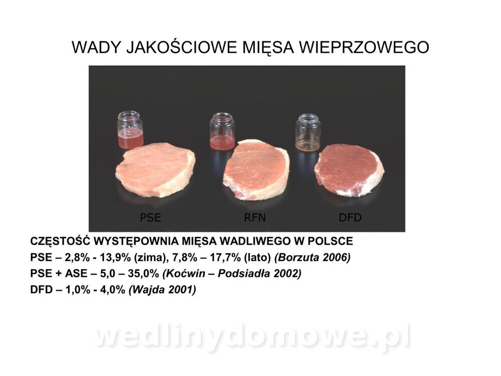 Technologia produkcji miesa wieprzowego_43.jpg