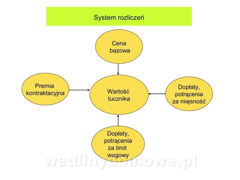 Technologia produkcji miesa wieprzowego_48.jpg