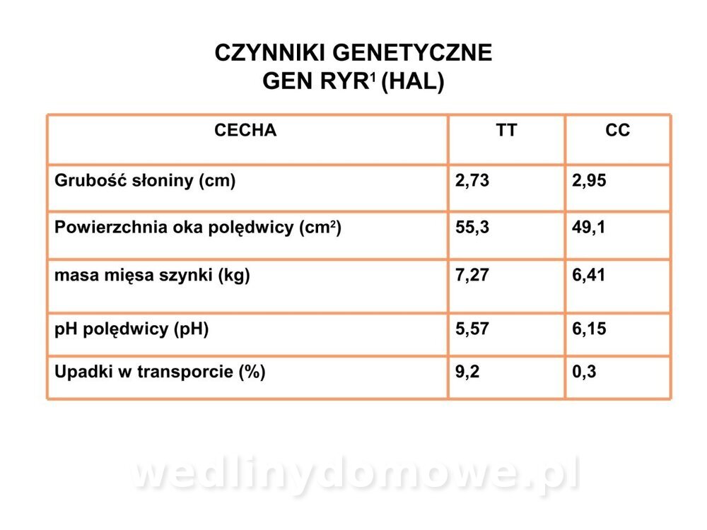 Technologia produkcji miesa wieprzowego_53.jpg