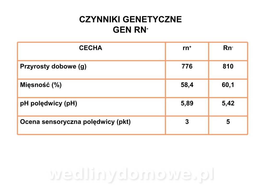 Technologia produkcji miesa wieprzowego_54.jpg