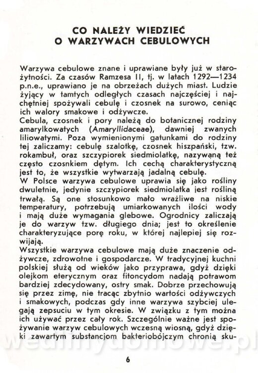 Warzywa cebulowe - Cempel-Zgierska - 1986_007.jpg