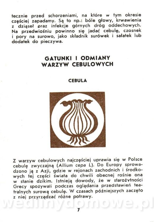 Warzywa cebulowe - Cempel-Zgierska - 1986_008.jpg