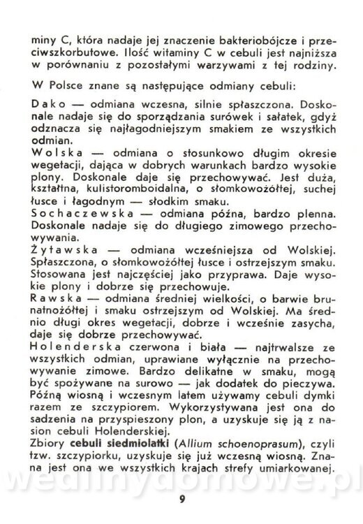 Warzywa cebulowe - Cempel-Zgierska - 1986_010.jpg