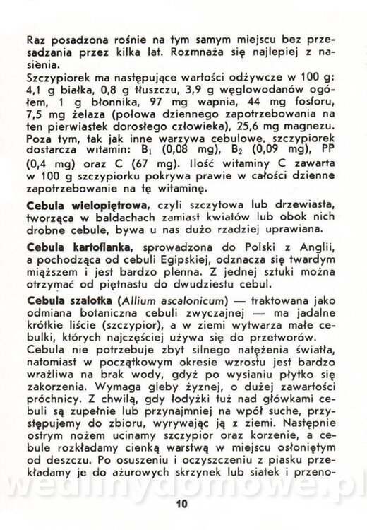 Warzywa cebulowe - Cempel-Zgierska - 1986_011.jpg