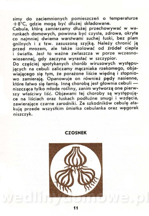 Warzywa cebulowe - Cempel-Zgierska - 1986_012.jpg