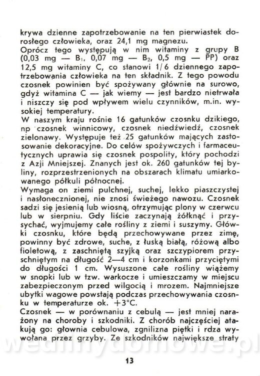 Warzywa cebulowe - Cempel-Zgierska - 1986_014.jpg