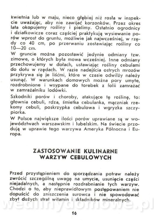 Warzywa cebulowe - Cempel-Zgierska - 1986_017.jpg