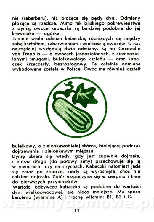 Warzywa dyniowate-Strzelecka-1985_012.jpg