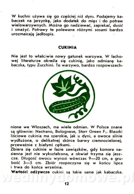 Warzywa dyniowate-Strzelecka-1985_013.jpg