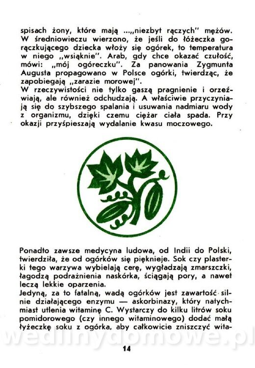 Warzywa dyniowate-Strzelecka-1985_015.jpg