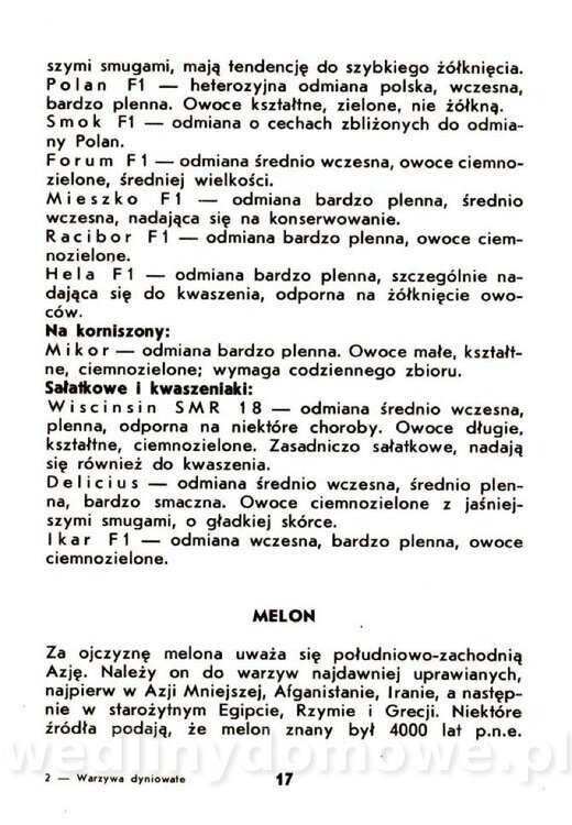 Warzywa dyniowate-Strzelecka-1985_018.jpg