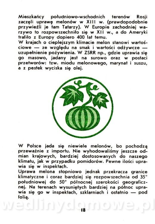 Warzywa dyniowate-Strzelecka-1985_019.jpg