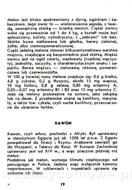 Warzywa dyniowate-Strzelecka-1985_020.jpg
