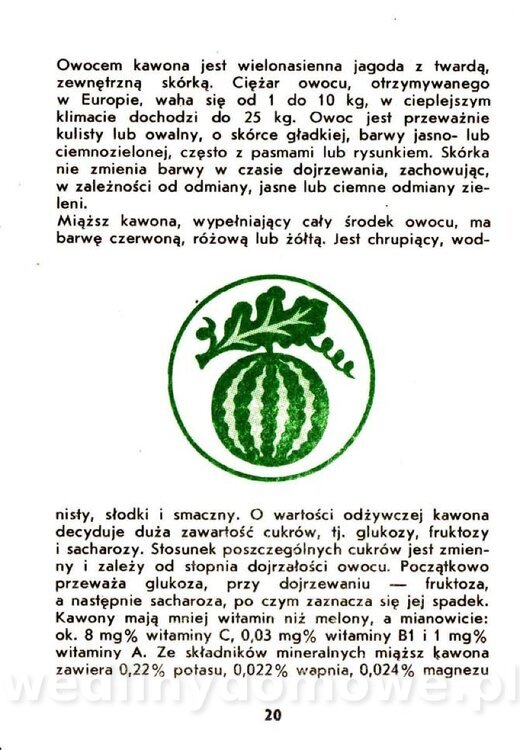 Warzywa dyniowate-Strzelecka-1985_021.jpg