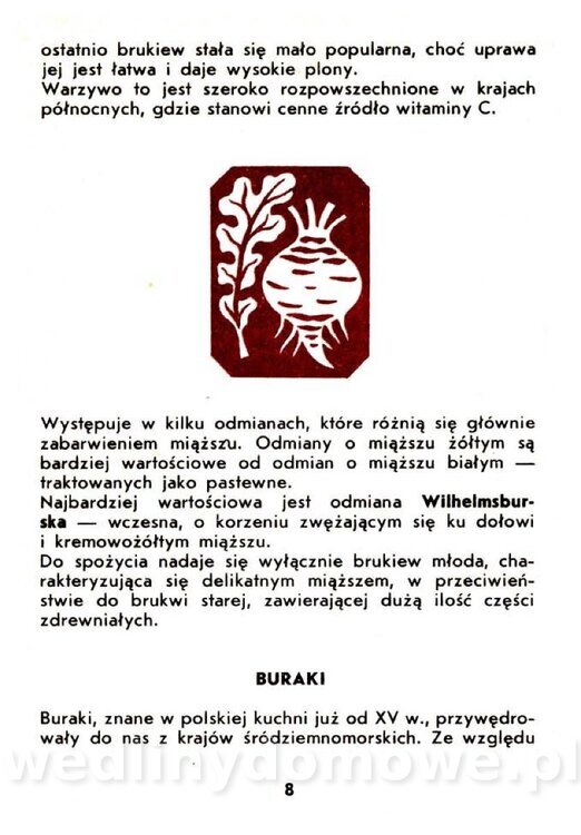 Warzywa korzeniowe-Kopeć-1986_009.jpg