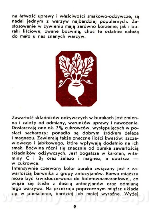 Warzywa korzeniowe-Kopeć-1986_010.jpg