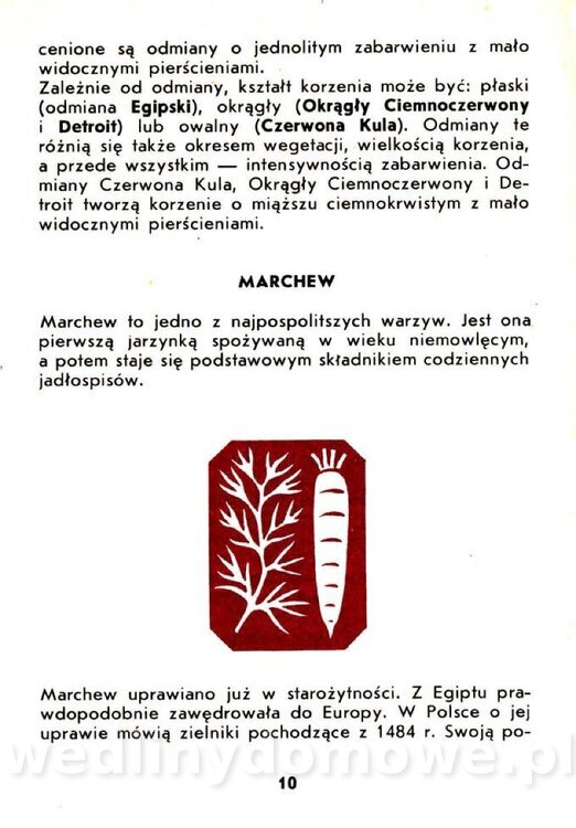 Warzywa korzeniowe-Kopeć-1986_011.jpg