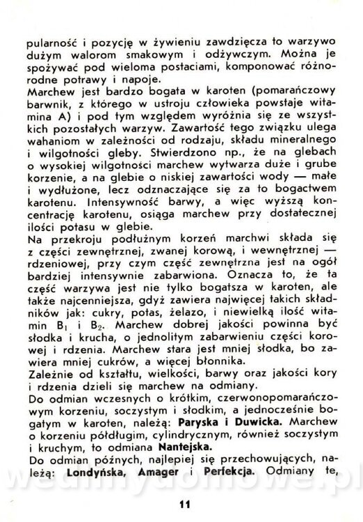 Warzywa korzeniowe-Kopeć-1986_012.jpg