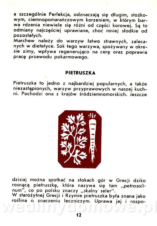 Warzywa korzeniowe-Kopeć-1986_013.jpg