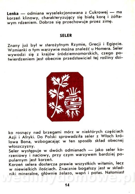 Warzywa korzeniowe-Kopeć-1986_015.jpg