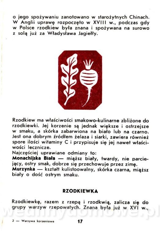 Warzywa korzeniowe-Kopeć-1986_018.jpg