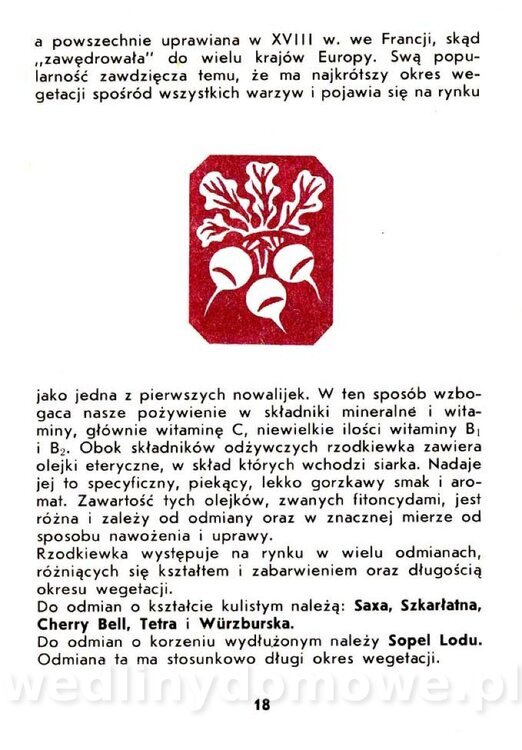 Warzywa korzeniowe-Kopeć-1986_019.jpg