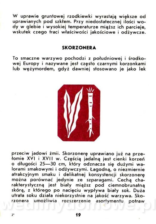 Warzywa korzeniowe-Kopeć-1986_020.jpg